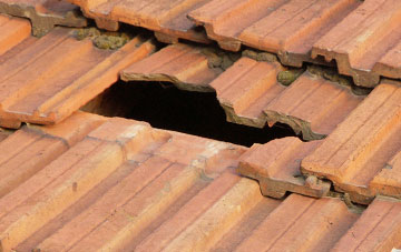 roof repair Chichacott, Devon